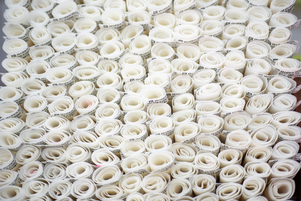 Seed viability test at the CIMMYT genebank. (Photo: Alfonso Cortés/CIMMYT)