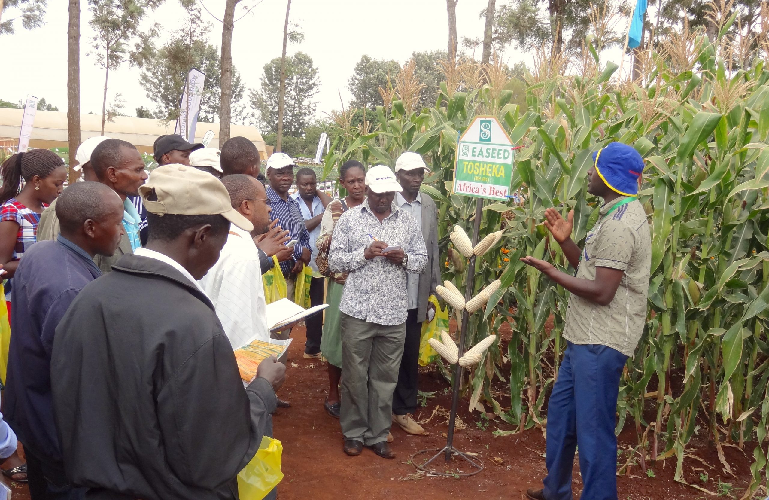 Farmers at a demonstration farm field day organized by East African Seed Company. (Photo: Courtesy)