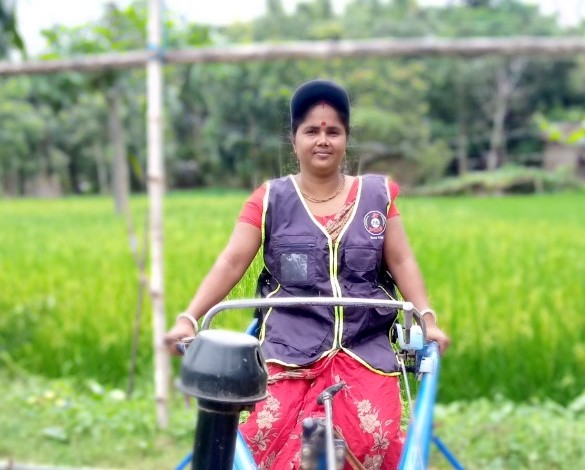 Pramila Mondal operates her power-tiller-operated seeder. (Photo: Shahabuddin Shihab/CIMMYT)