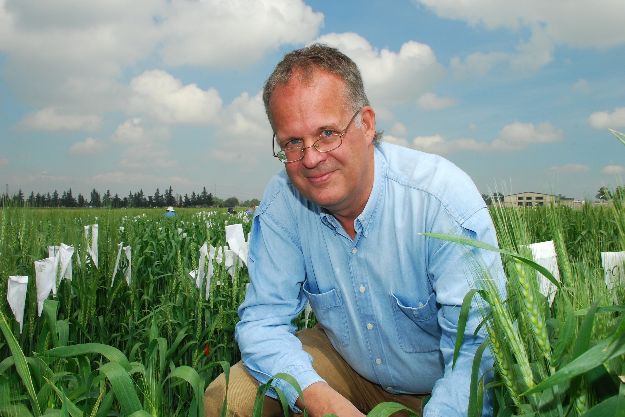 Tom Payne, Wheat Germplasm Collections & International Wheat Improvement Network Manager. (Photo: X. Fonseca/CIMMYT)