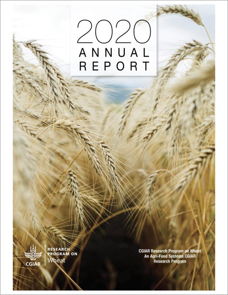 Read the WHEAT 2020 Annual Report