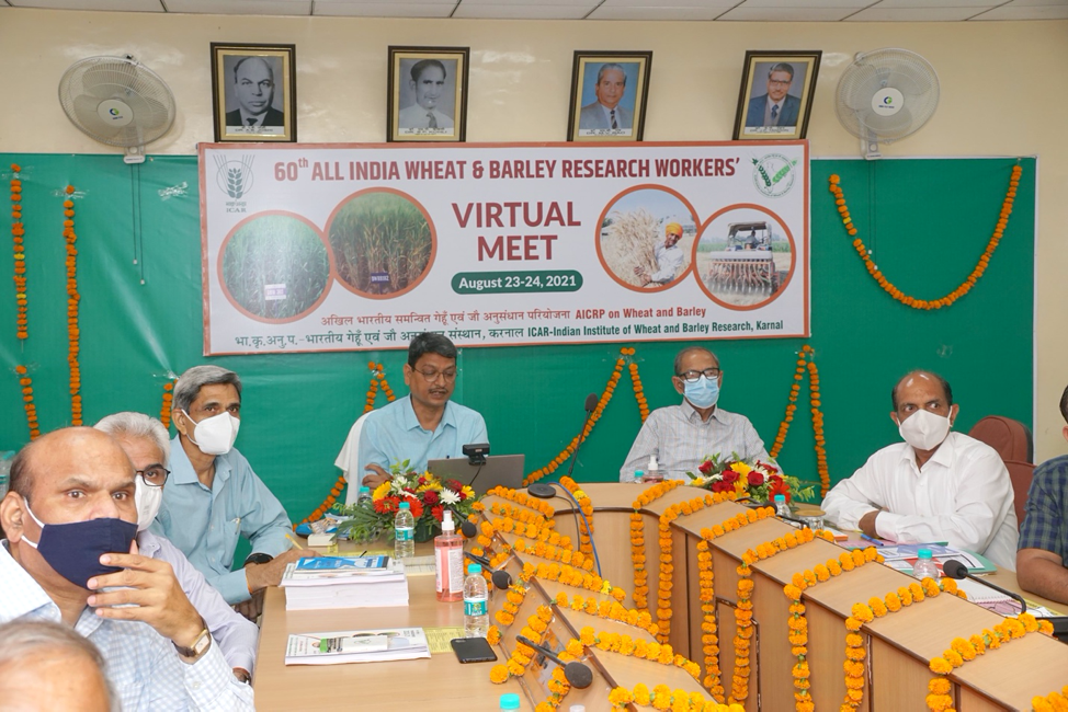 Gyanendra Pratap Singh (center), Director of ICAR-IIWBR, presents at the 60th All India Wheat and Barley Research Workers’ Meet. (Photo: Courtesy of ICAR-IIWBR)