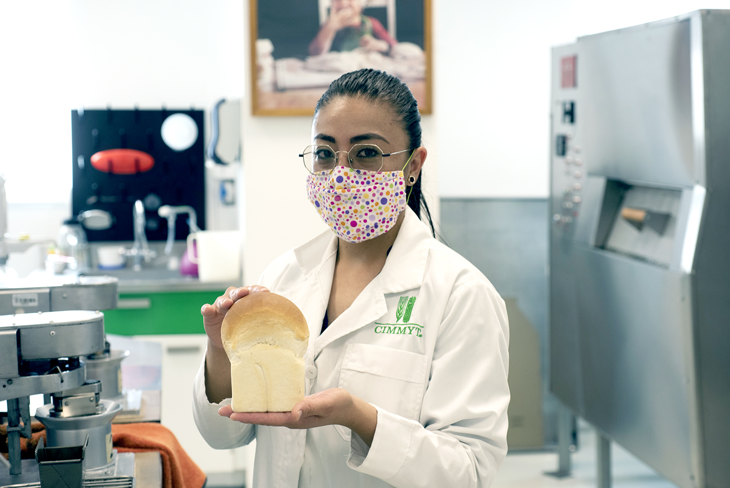 At CIMMYT's Wheat Quality lab, researchers evaluate how different bread wheat varieties behave at the time of baking. (Photo: CIMMYT)