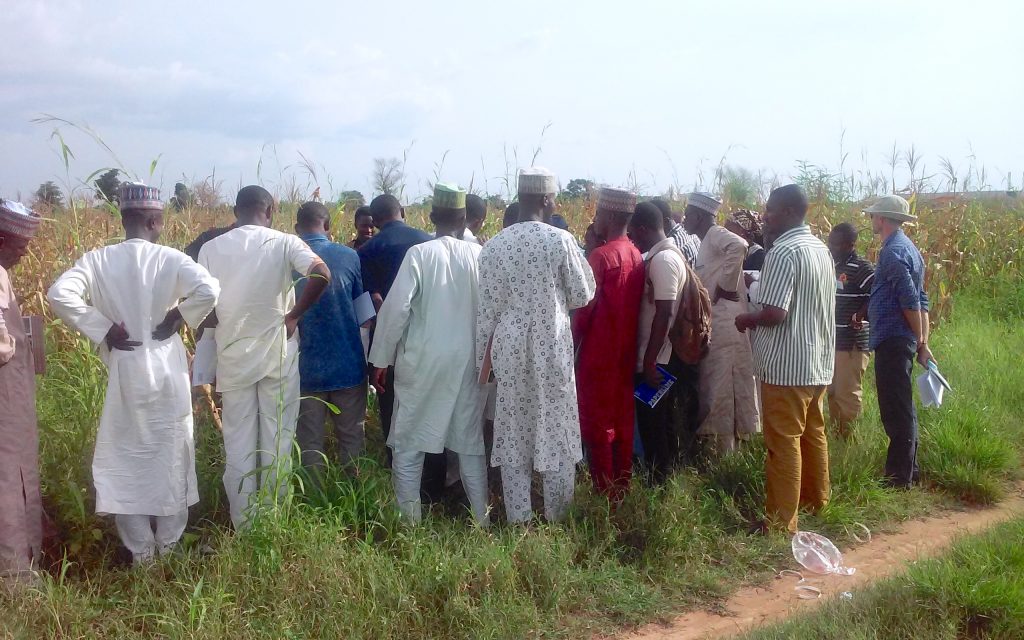 Members of the survey team participate in a training session at Bayero University Kano, Nigeria. (Photo: Oyakhilomen Oyinbo)