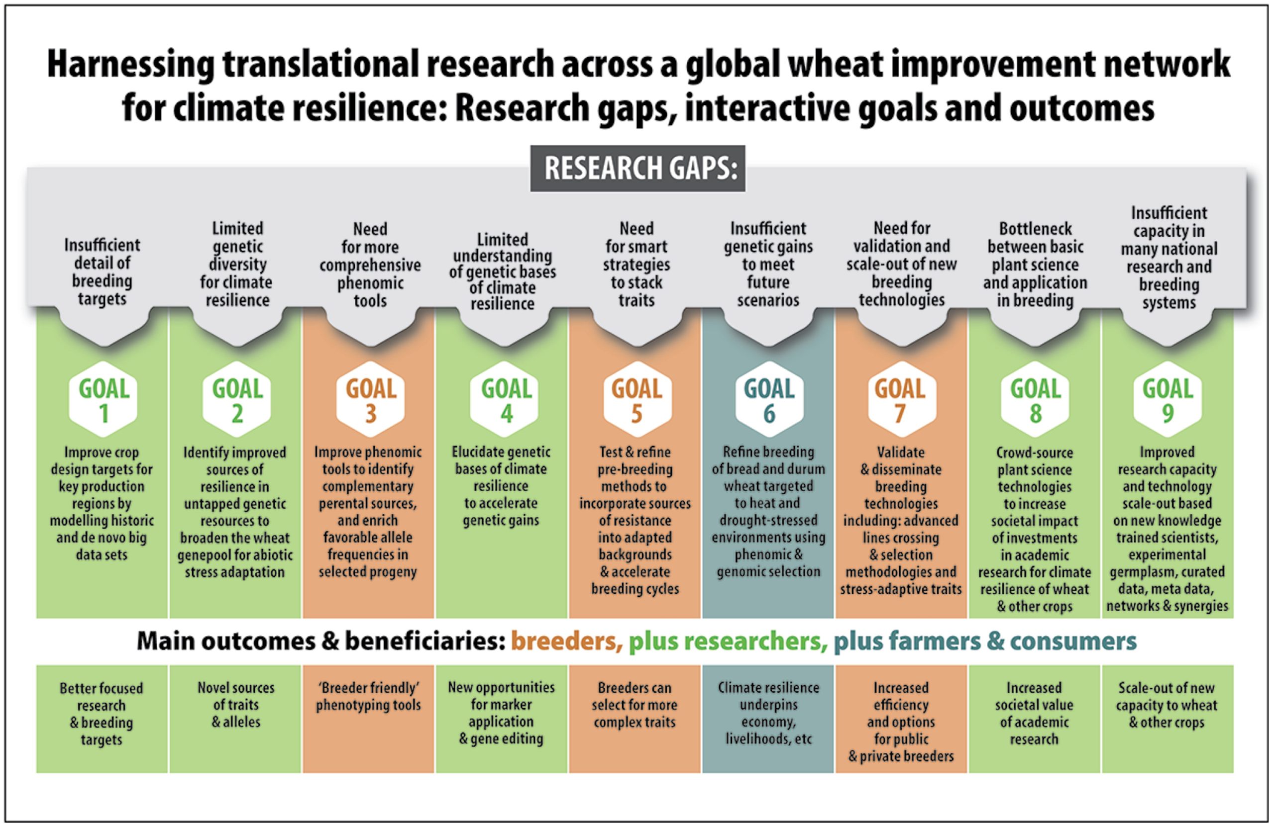 Aprovechamiento de la investigación en una red mundial de mejoramiento de trigo para la resiliencia climática: brechas en la investigación, objetivos interactivos y resultados.