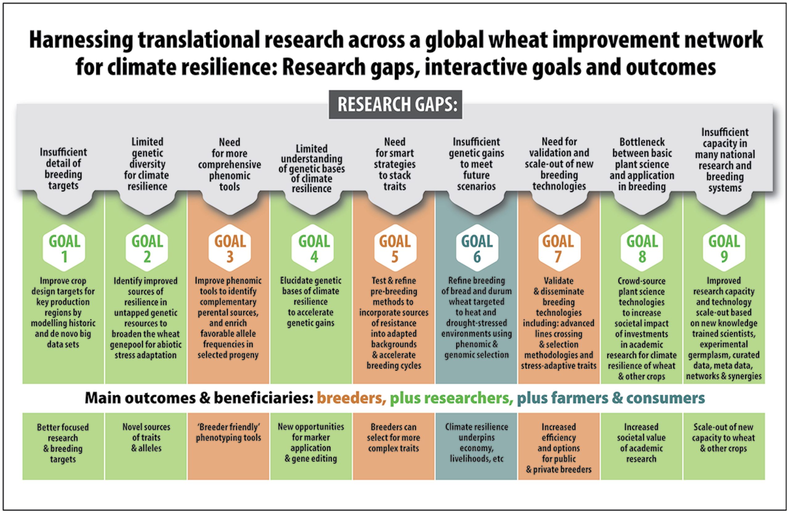 Harnessing research across a global wheat improvement network for climate resilience: research gaps, interactive goals, and outcomes.