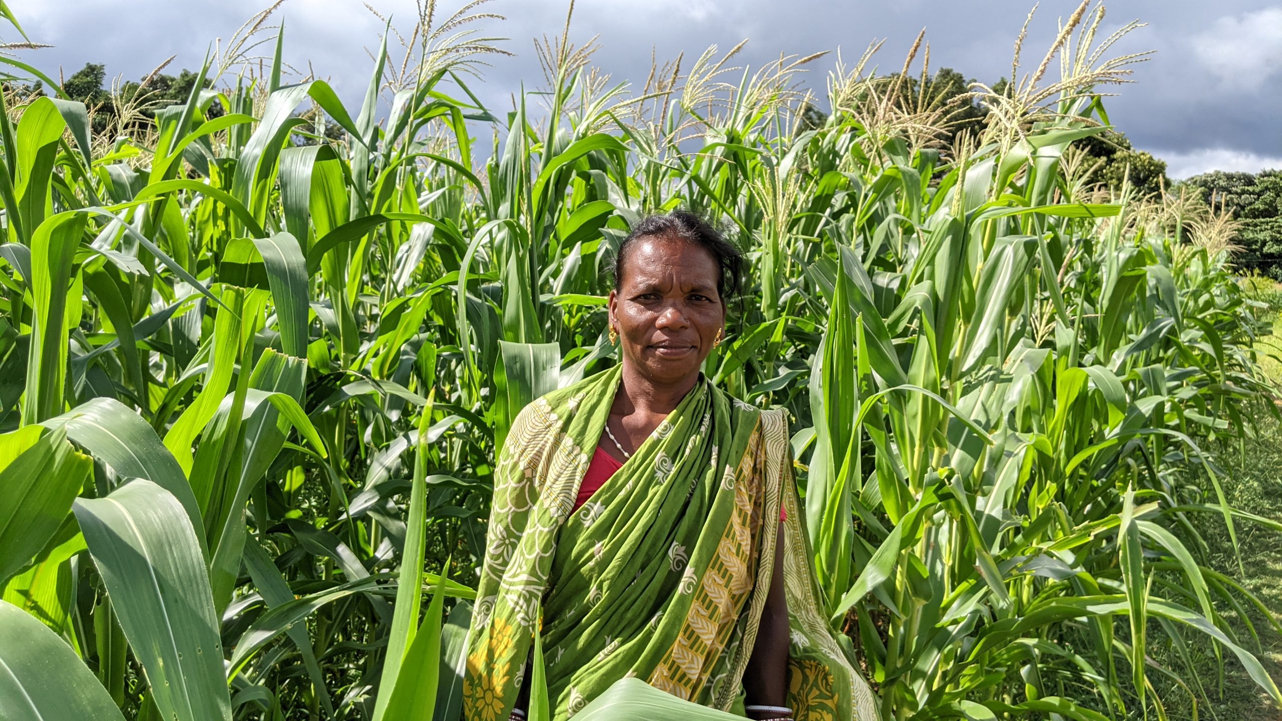 Farmer Anita Naik stands for a photograph next to her maize field. (Photo: Nima Chodon/CIMMYT)
