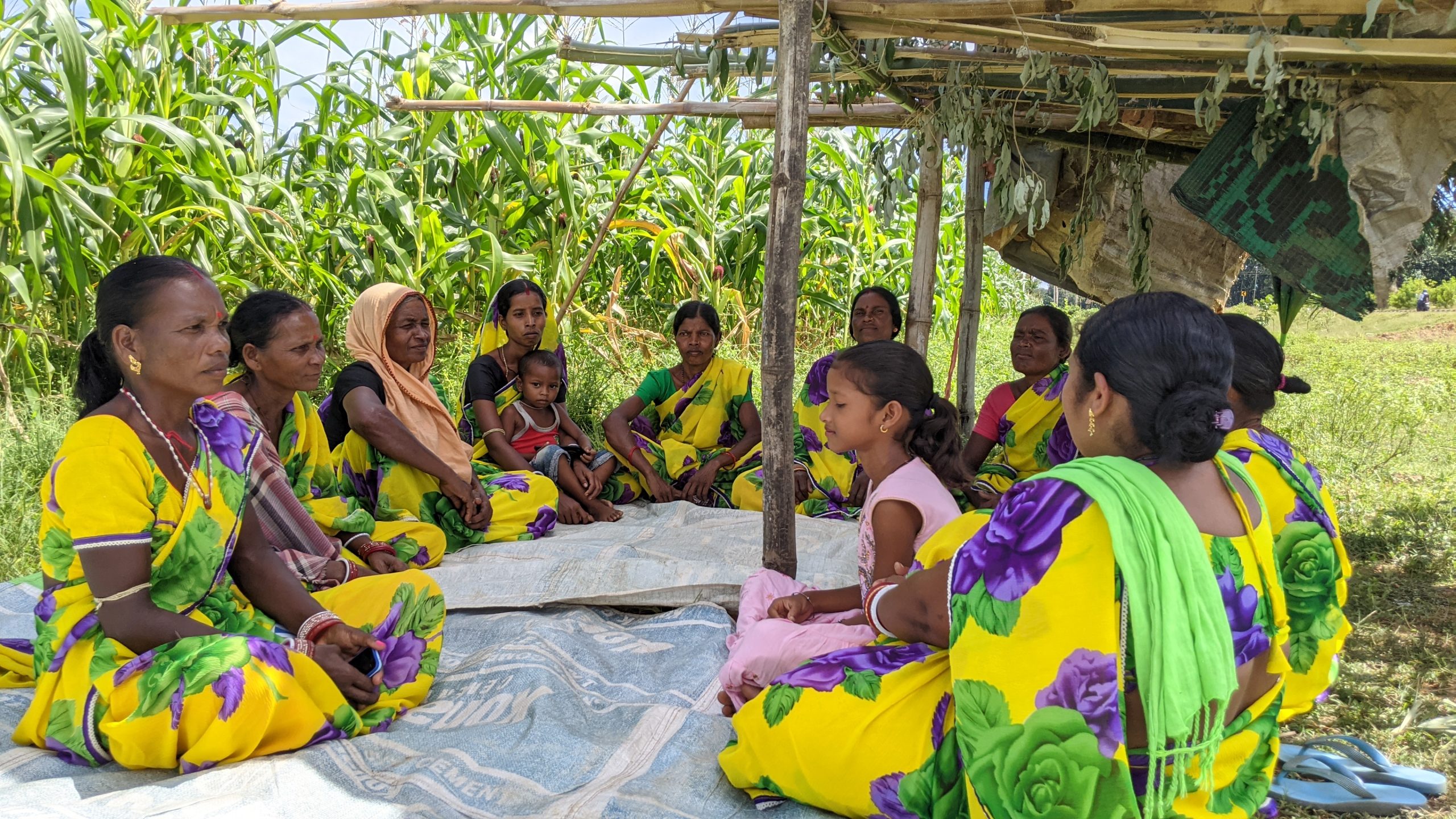 Anita Naik (primera por la izquierda) se reúne con su grupo de autoayuda Biswa Jay Maa Tarini en el pueblo de Badbil, en el distrito de Mayurbhanj del estado indio de Odisha. Juntas, trabajan en un campo de cinco acres arrendado, donde cultivan maíz con fines comerciales. (Foto: CIMMYT)