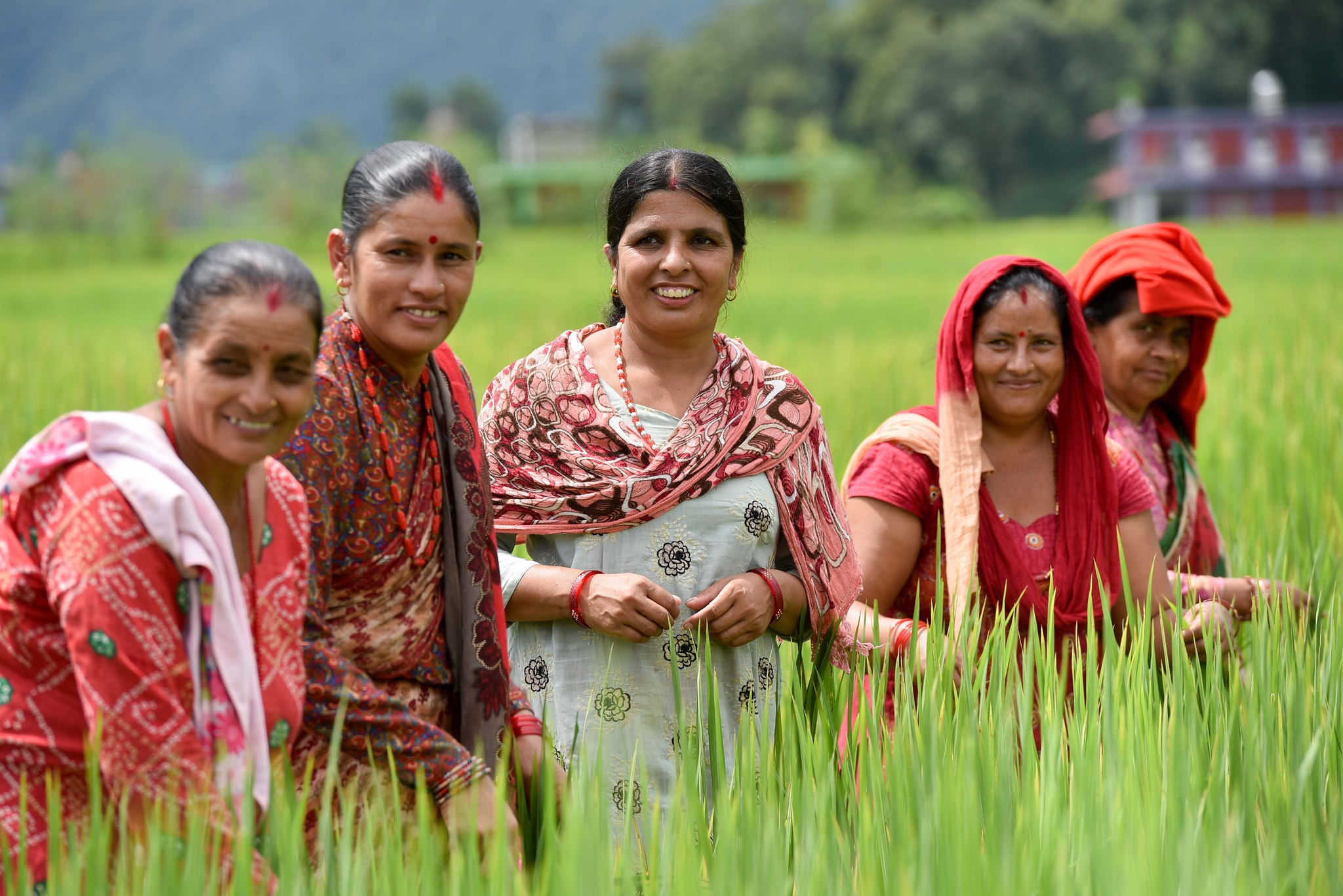 A group of farmers involved in participatory rice breeding trials near Begnas Lake, Pokhara, Nepal. (Photo: Neil Palmer/CIAT/CCAFS)