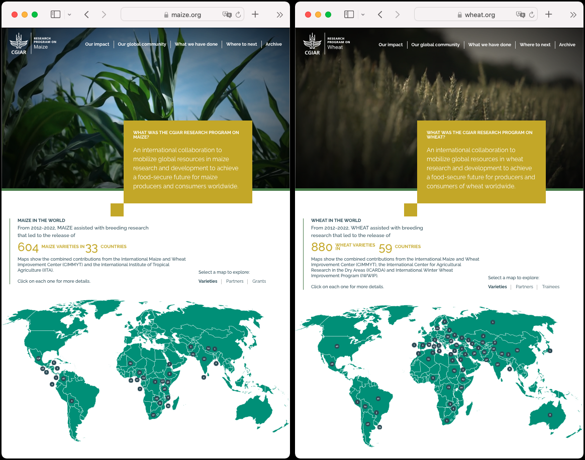 The new MAIZE legacy website (left) and WHEAT legacy website launched today. 