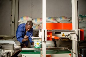 Un trabajador utiliza una máquina para sellar una bolsa de semillas de maíz en el almacén en Catandika, Mozambique. (Foto: CIMMYT/Kipenz Films)