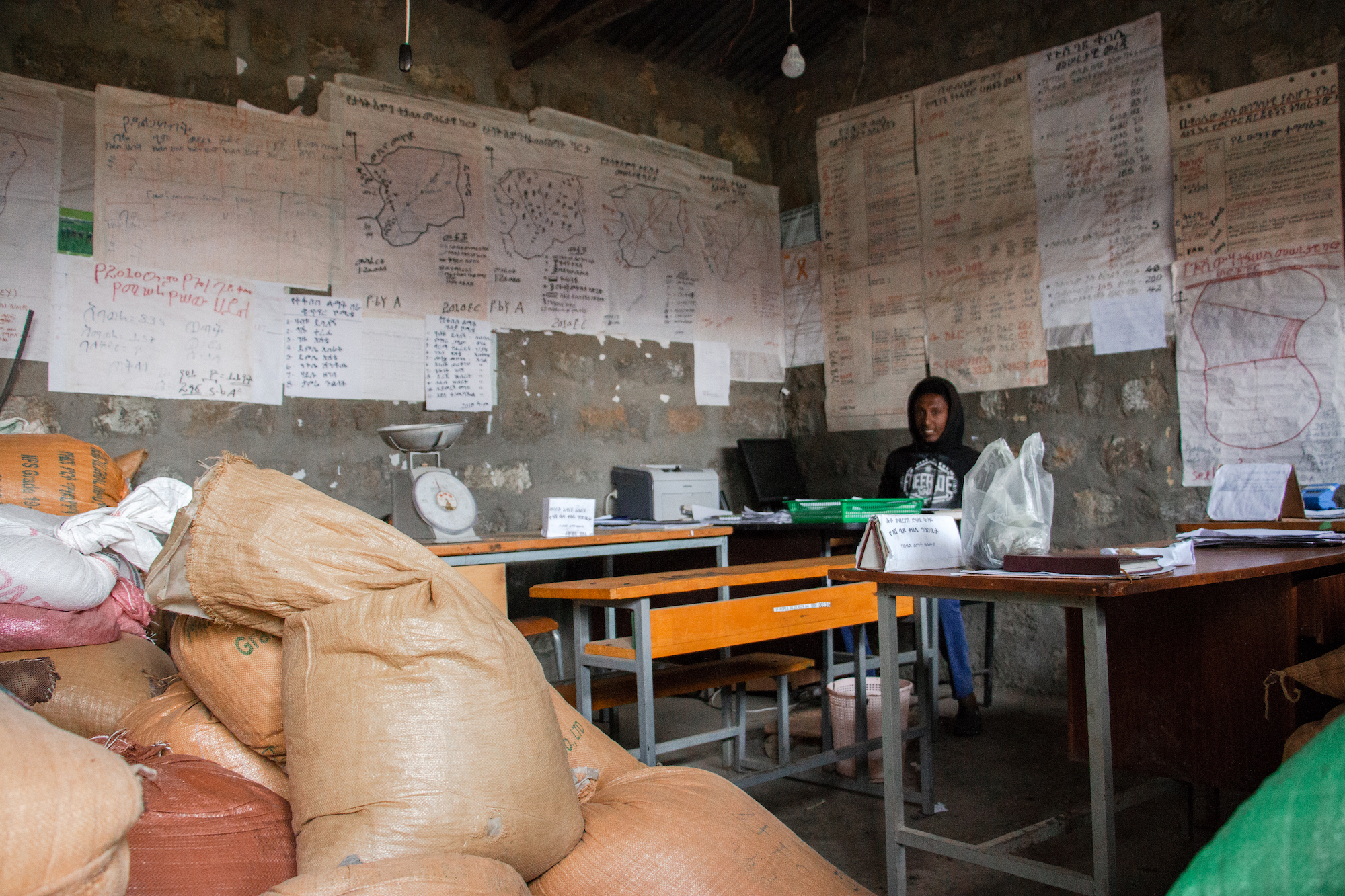 The employee of an Ethiopian seed association smiles as bags of wheat seed are ready to be distributed. (Photo: Gerardo Mejía/CIMMYT)