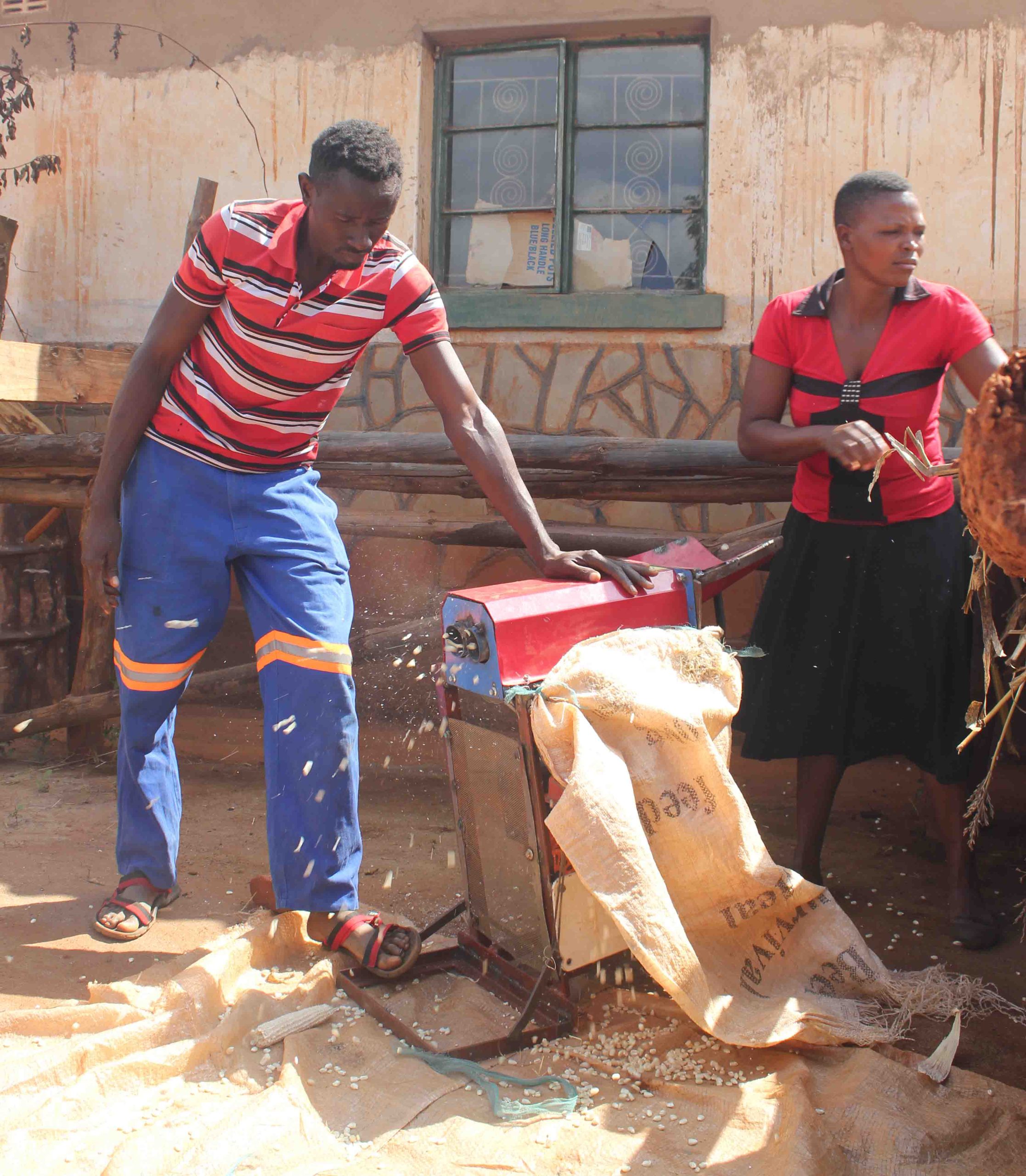 A service provider demonstrates a small-scale maize sheller in Nyanga, Zimbabwe. (Photo: Frédéric Baudron/CIMMYT)