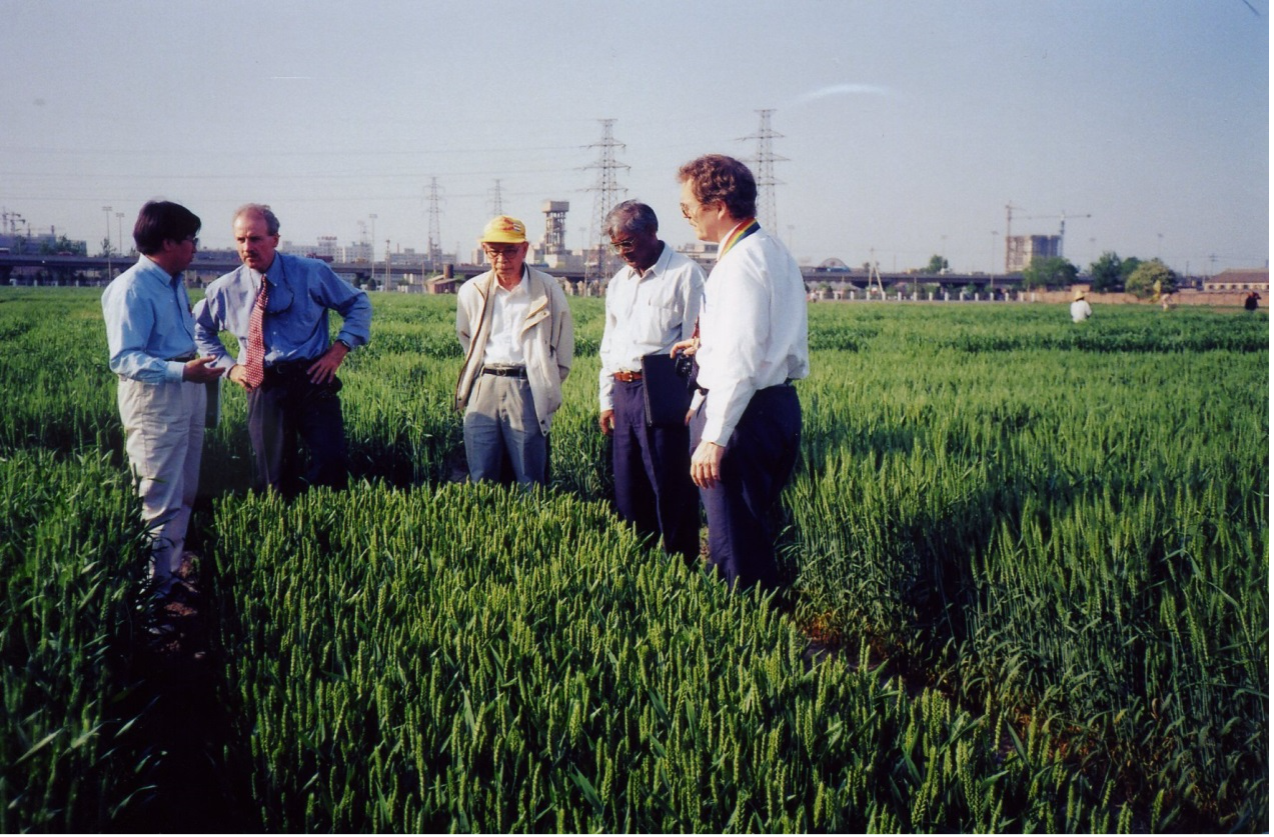 Zhuang Qiaosheng (centro) recibe a las delegaciones del CIMMYT en Beijing en 1997. (Foto: CIMMYT)