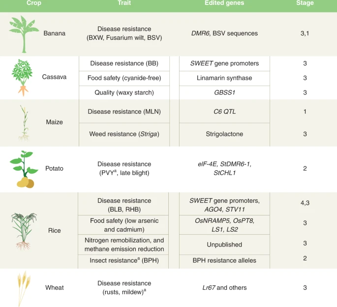 Genome editing projects