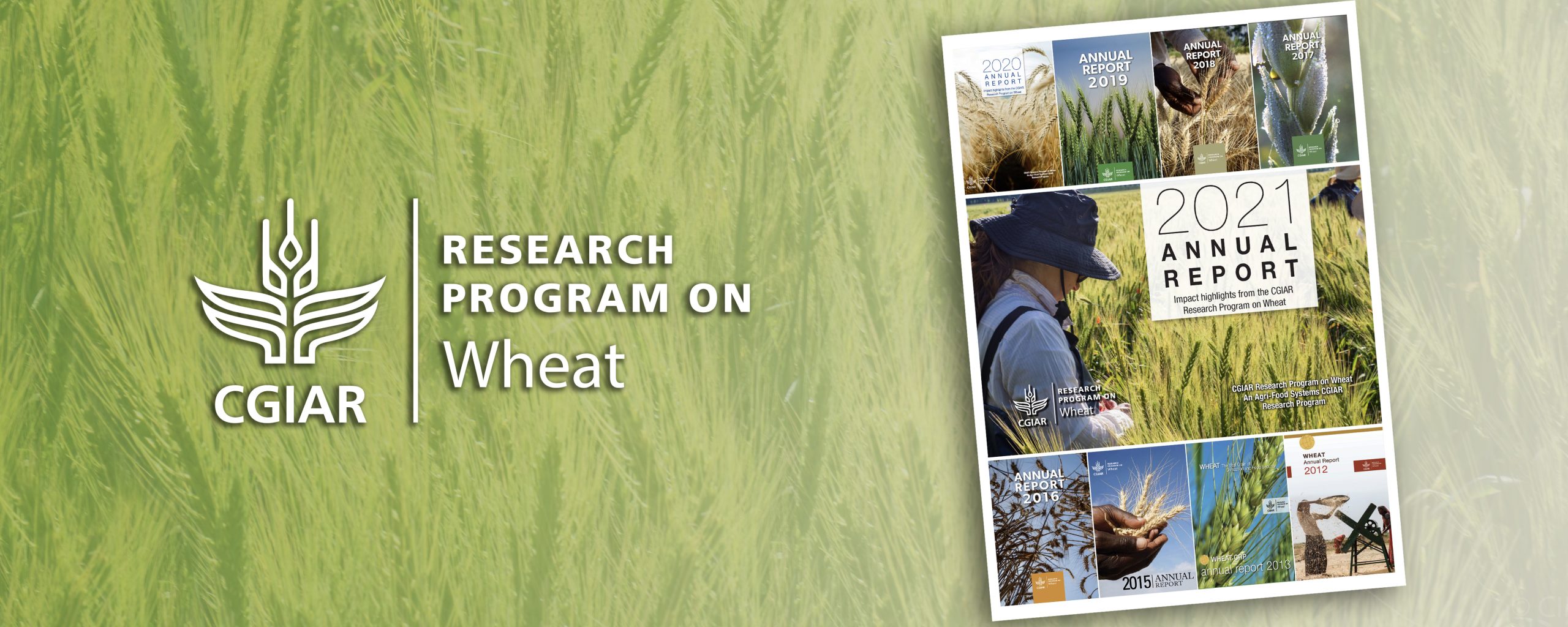 Background image for CIMMYT