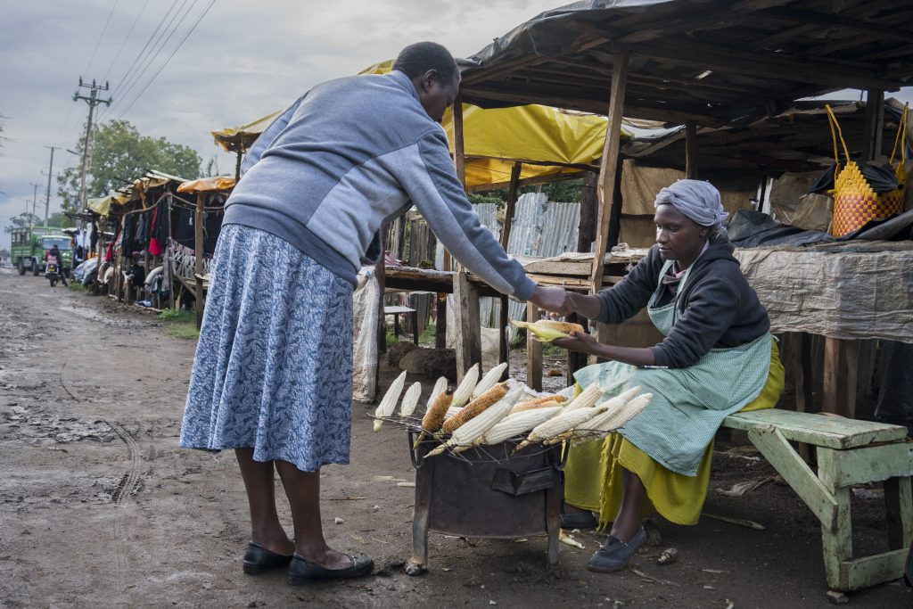 Ethiopian Institute of Agricultural Research (EIAR) CIMMYT