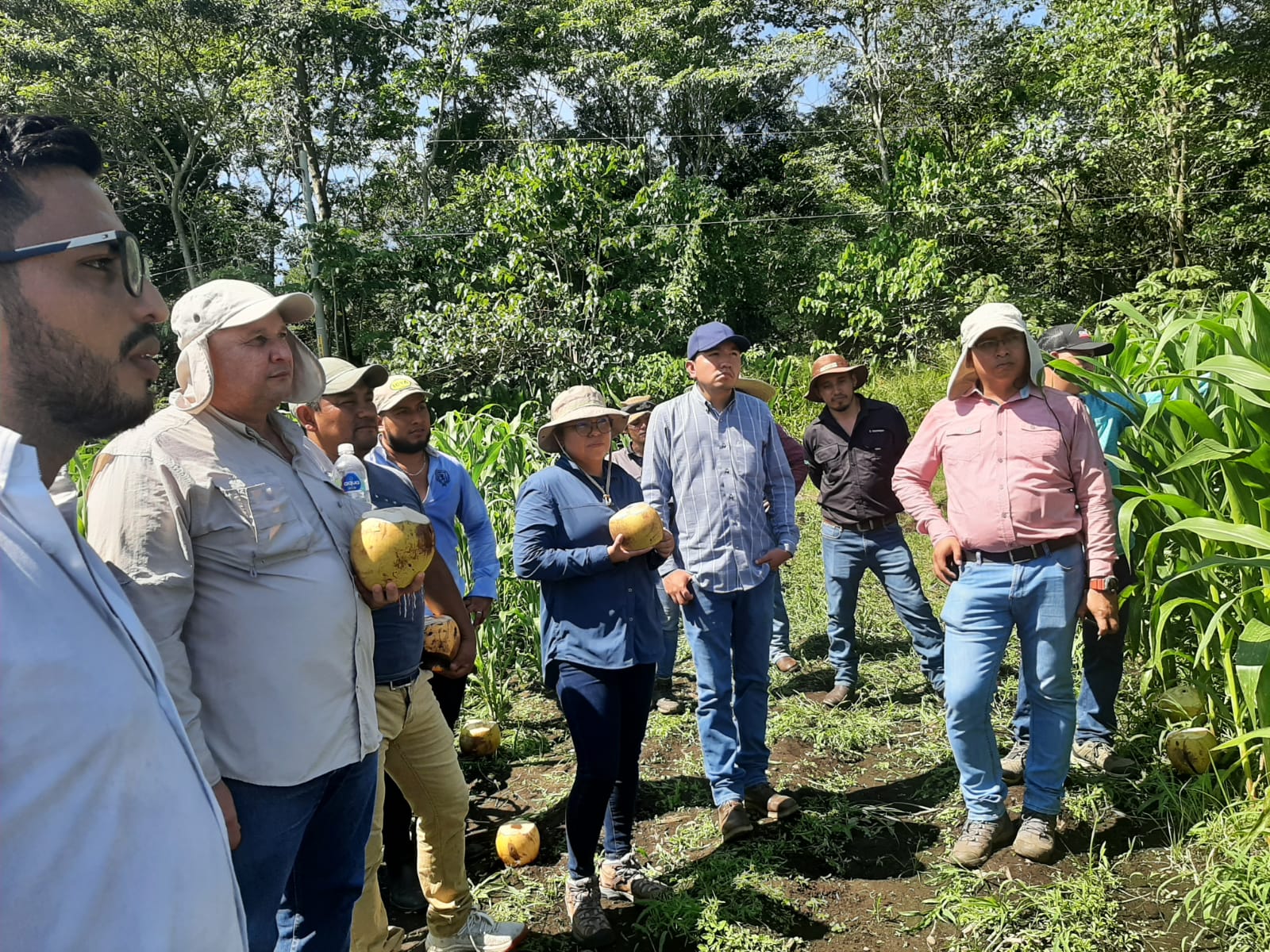 Capacitación en recursos genéticos y producción de semillas fortalece lazos de colaboración entre Guatemala y el CIMMYT – CIMMYT