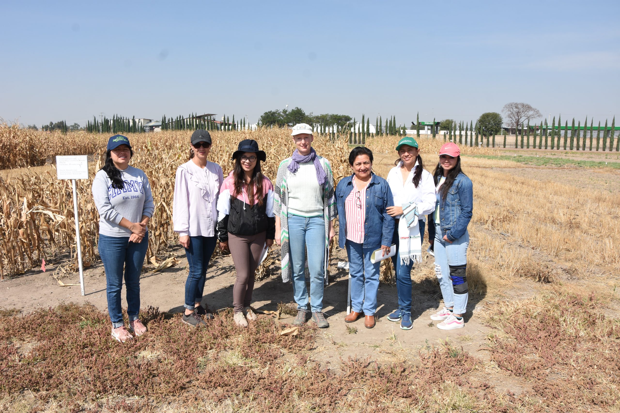 Científicos latinoamericanos colaboran en proyecto TechMaiz apoyado por CIMMYT – CIMMYT