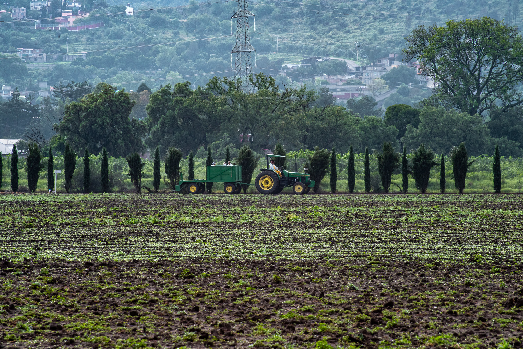 Background image for CIMMYT