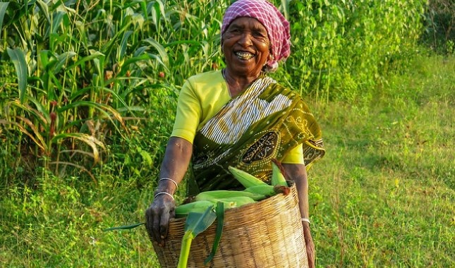 Science for improved livelihoods image