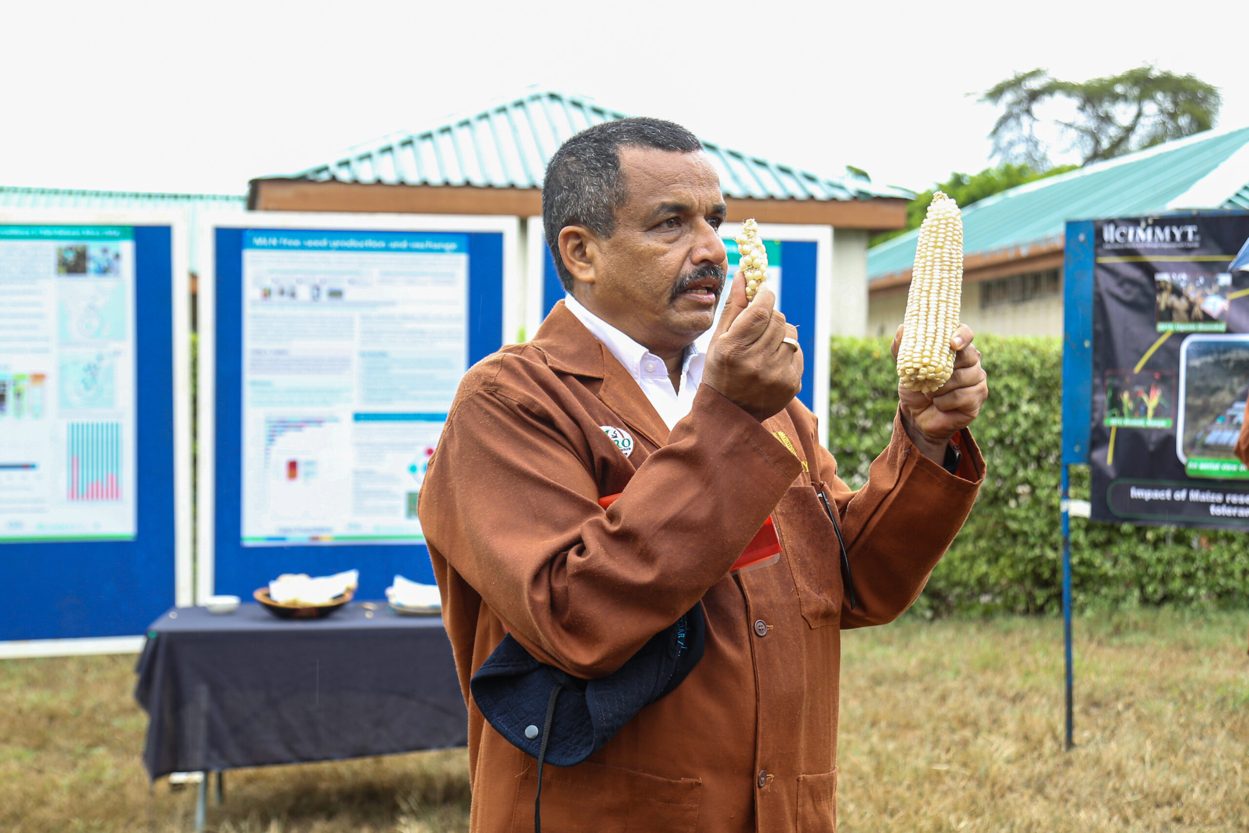 Safeguarding Africa’s Maize: Partners Visit CIMMYT’s MLN Screening Facility in Kenya