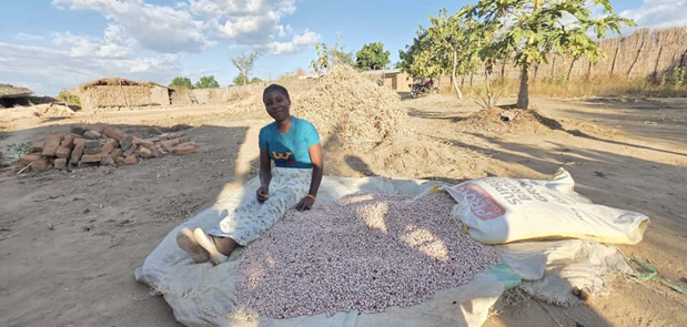 Can Niassa’s Seed System Roadmap Become a Catalyst for National Food Security in Mozambique?