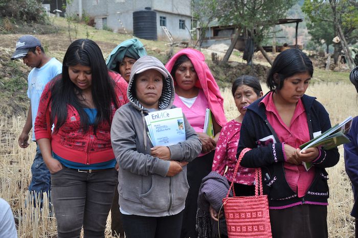 Agricultoras y madres de familia de la región mixteca de Oaxaca