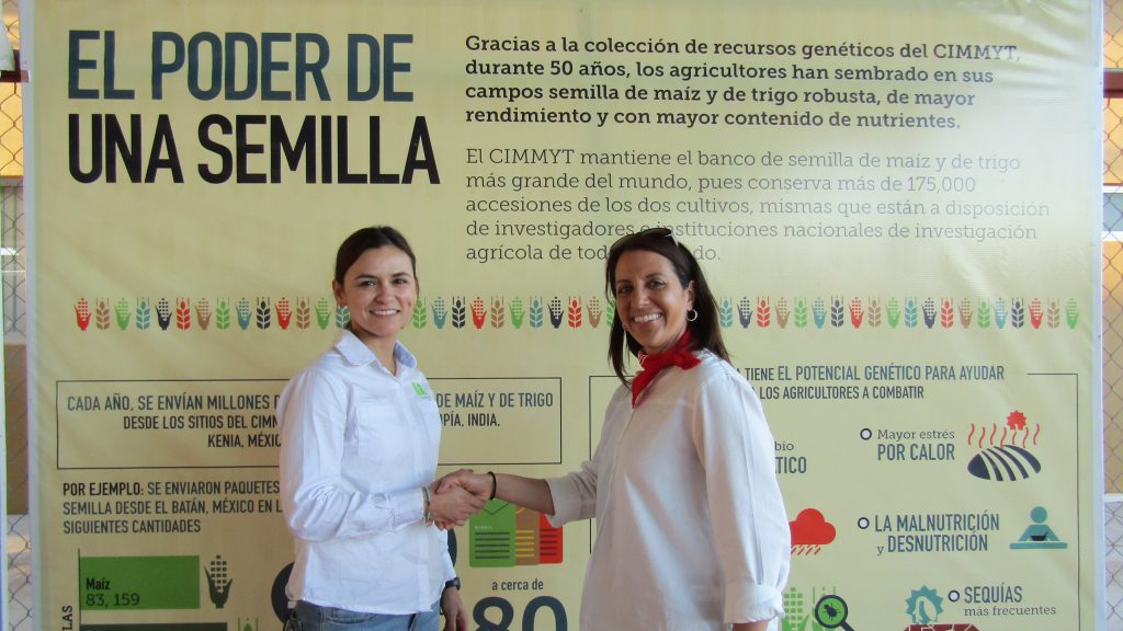 Carolina Rivera (a la izquierda) le da la mano a Maricelis Acevedo, Directora Asociada de Ciencias para el Proyecto “Delivering Genetic Gain in Wheat” de la Universidad de Cornell y mentora del premio Women in Triticum, después del anunciar a las ganadoras.