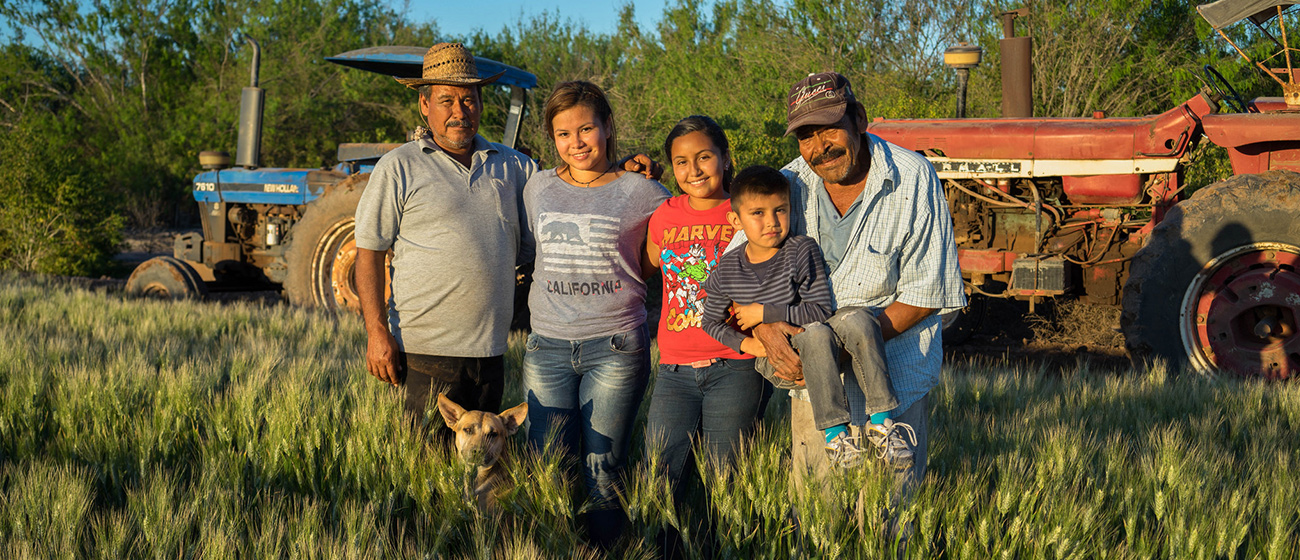 Background image for CIMMYT