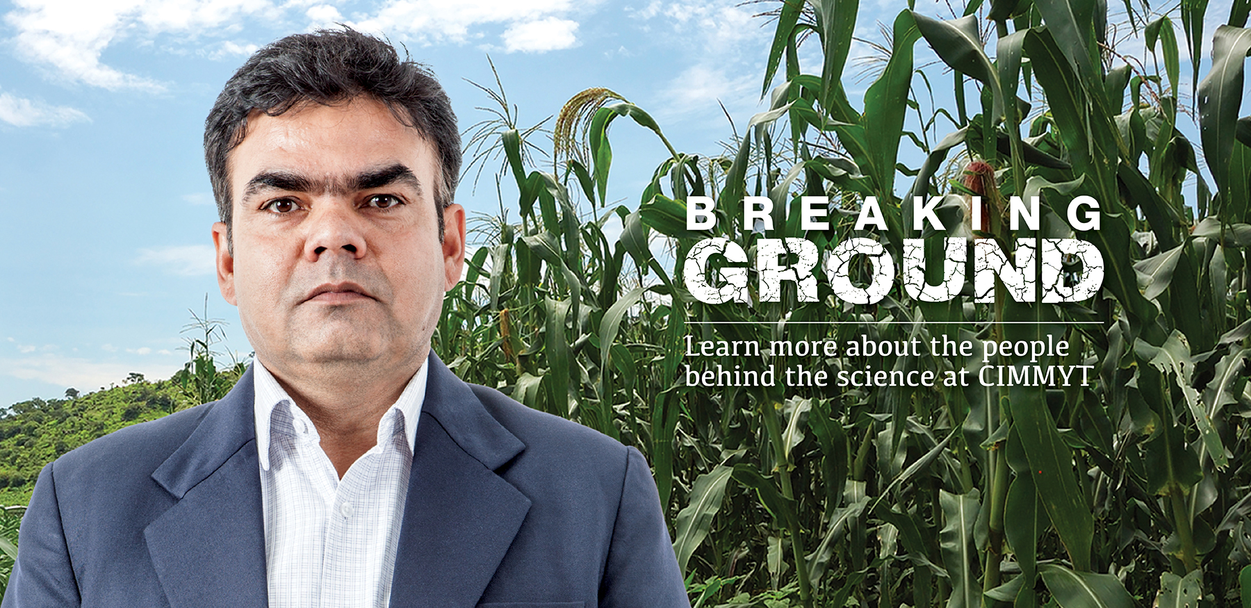 Background image for CIMMYT