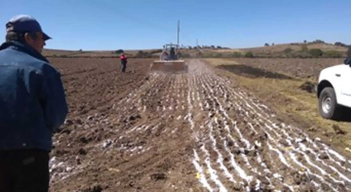 Terracal - Cal agrícola tratamiento acides del suelo en Chiriquí, Panamá