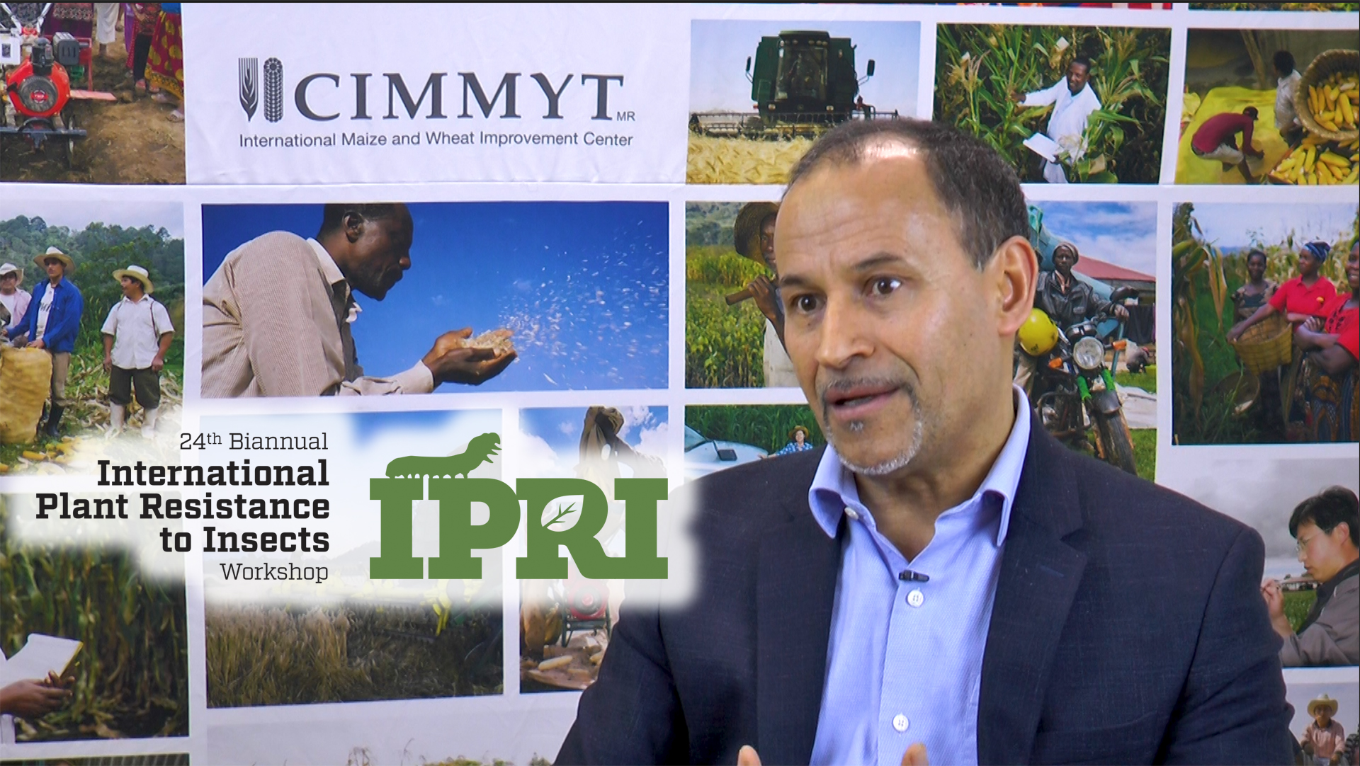 Background image for CIMMYT