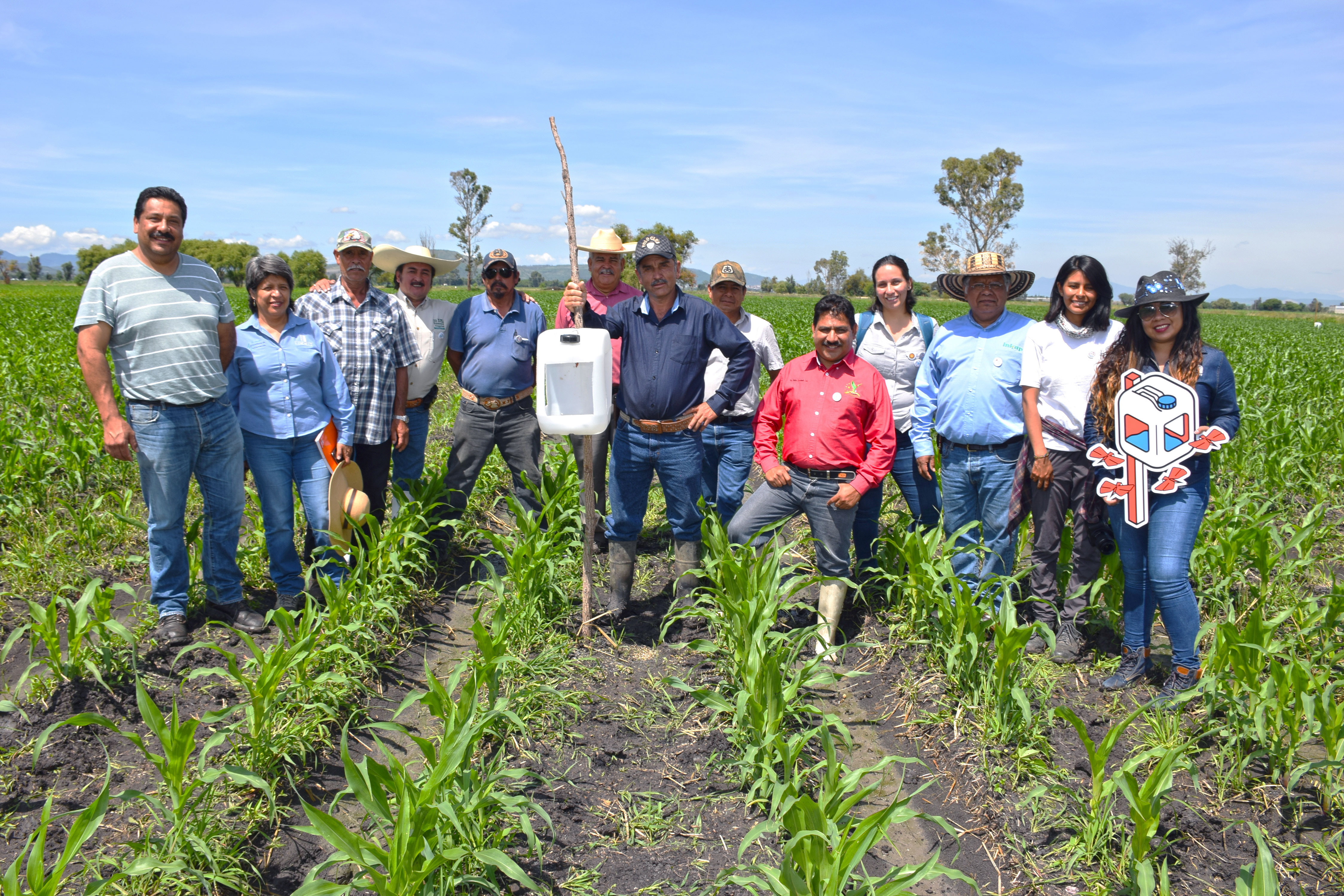 Background image for CIMMYT