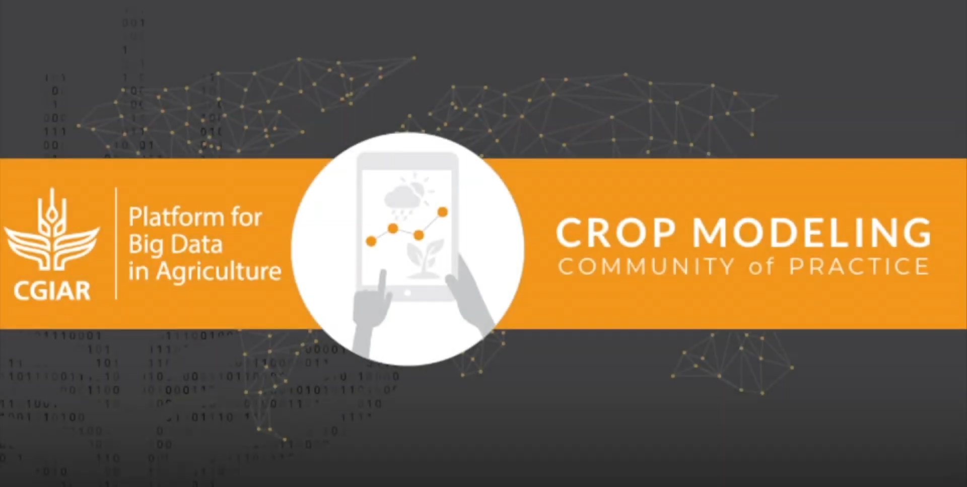 Background image for CIMMYT