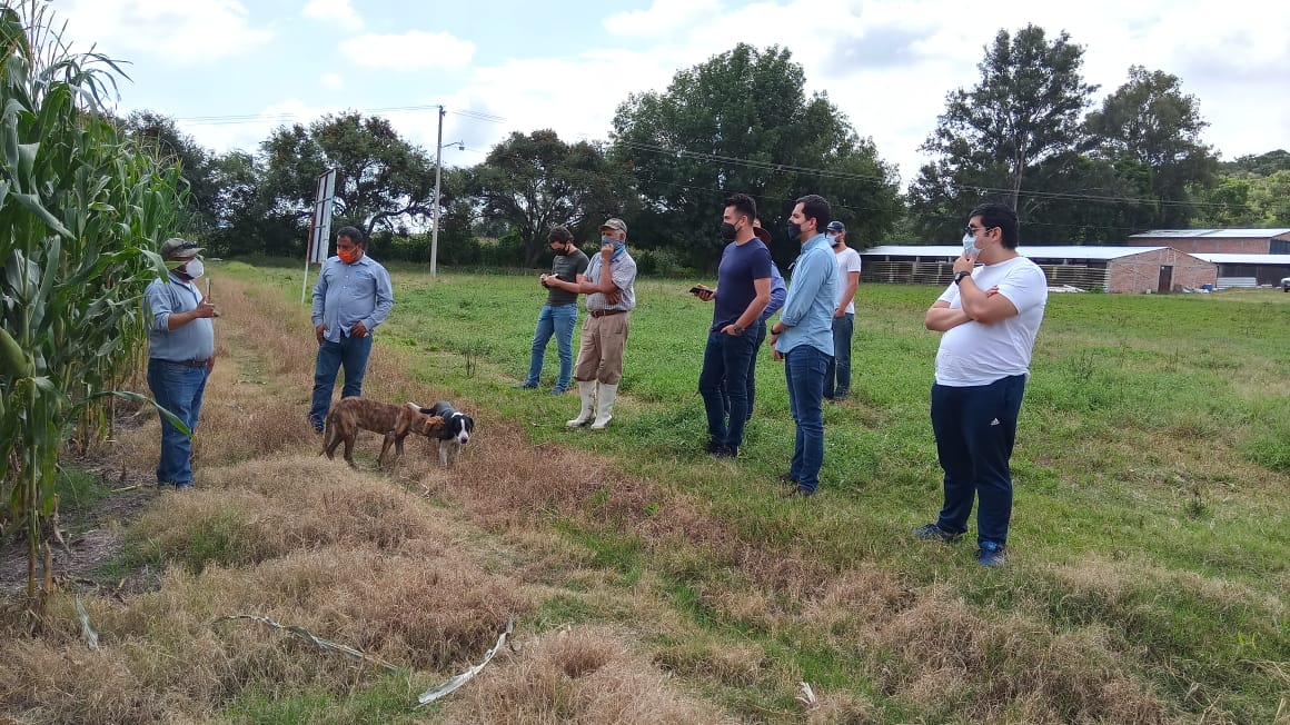 Representantes del CIMMYT y Verne Ventures entrevistan a productores con el objetivo de mejorar su acceso a servicios digitales el 22 de septiembre 2020 en Pénjamo, Guanajuato.