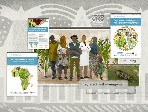 Background image for CIMMYT