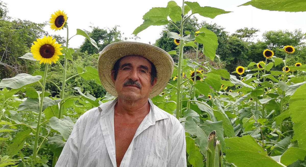 El productor Anastasio Martínez Guijón, De San Pedro Pochutla, Oaxaca. (Foto: CIMMYT)