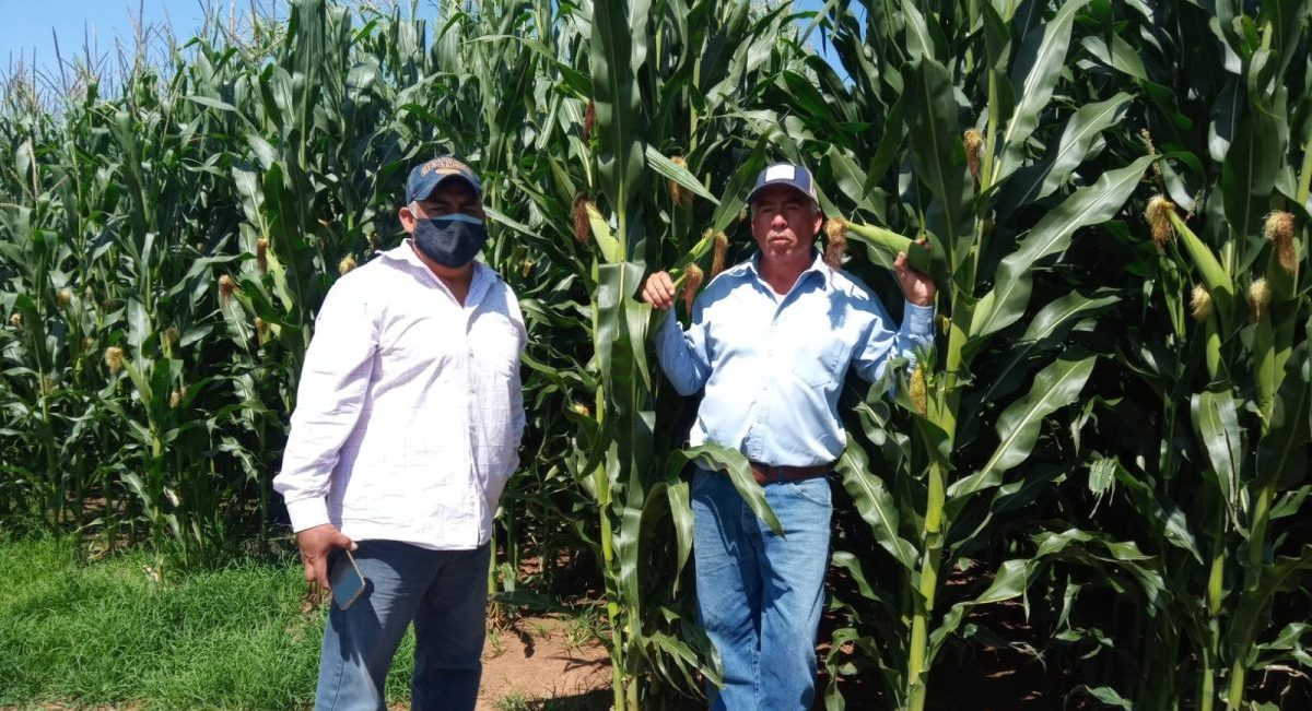 El productor Clemente Mora (derecha) y el técnico Eduardo Gaspar Medellín (izquierda). (Foto: Eduardo Gaspar Medellín)