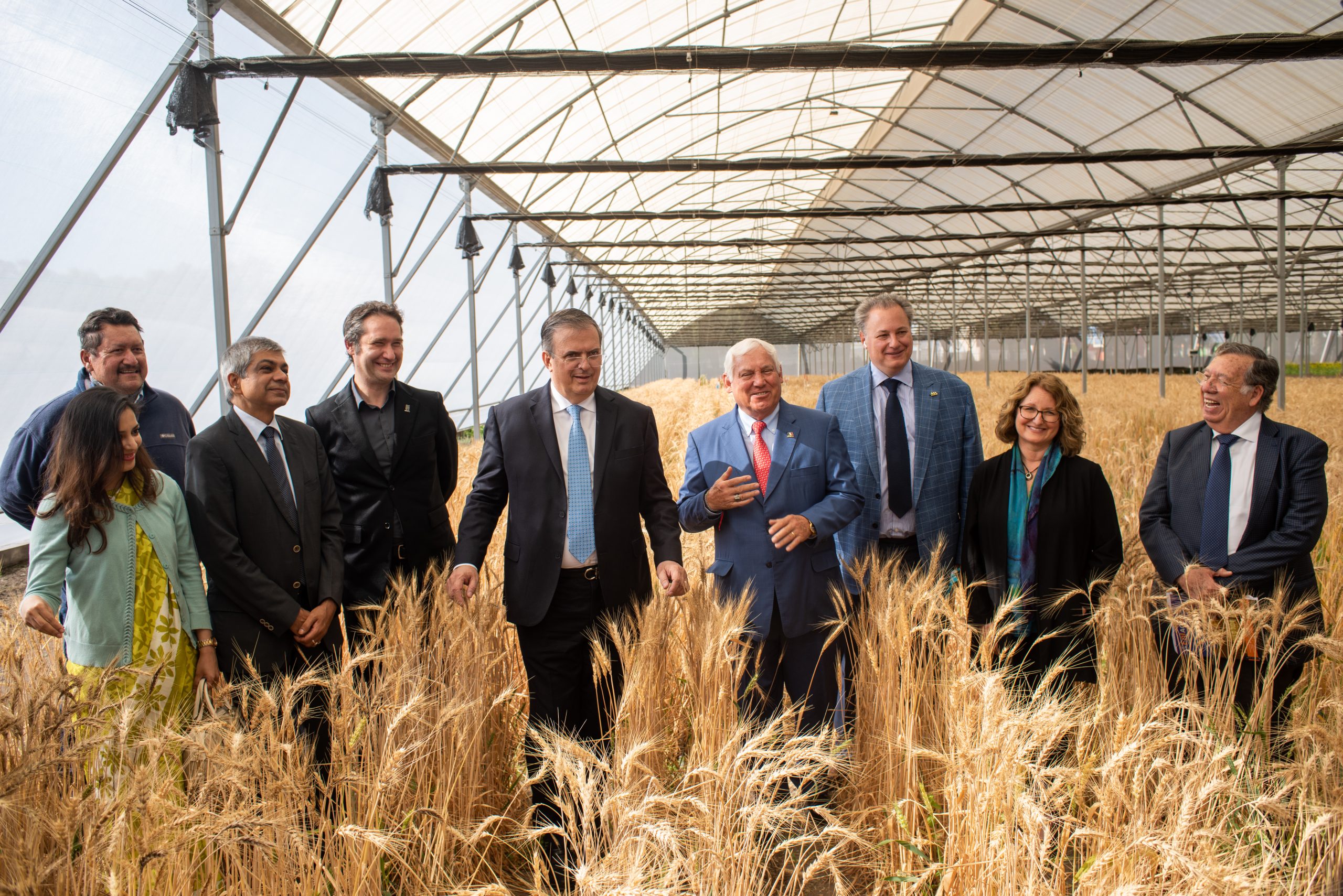 Representantes del Gobierno de México, la Embajada de la India, el Consejo Nacional Agropecuario, el CGIAR y el Centro Internacional de Mejoramiento de Maíz y Trigo (CIMMYT) en la Estación Experimental Sanjaya Rajaram en Toluca, Estado de México. (Foto: Alfonso Arredondo Cortés/CIMMYT)