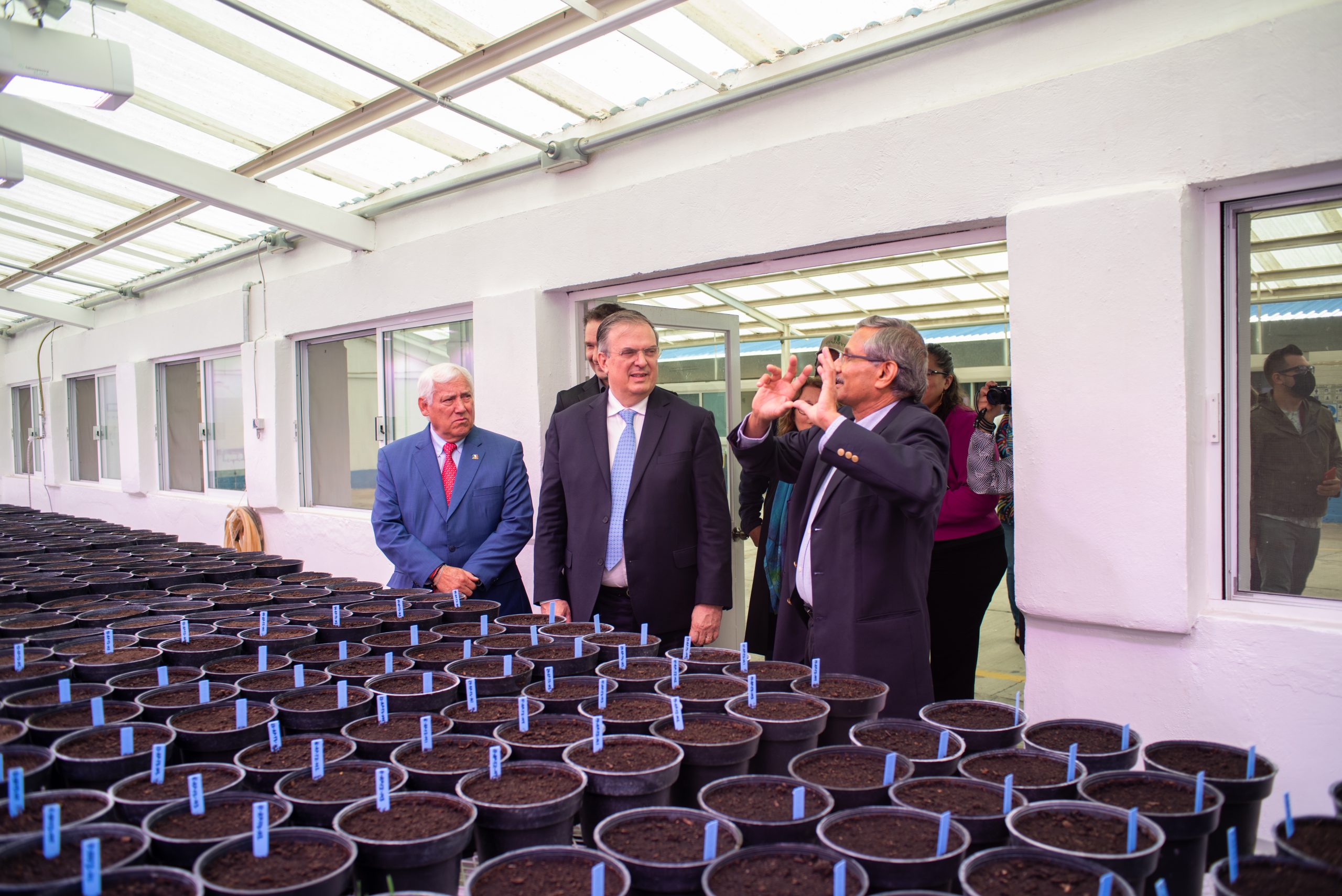 Ravi Singh, científico distinguido y jefe de mejoramiento global de trigo en un recorrido en la Estación Experimental del CIMMYT en Toluca, Estado de México, acompañado por Víctor Villalobos Arámbula, Secretario de Agricultura y Desarrollo Rural de México, Marcelo Ebrard Casaubón, Secretario de Relaciones Exteriores de México y Bram Govaerts, director general del CIMMYT. (Foto: Alfonso Arredondo Cortés/CIMMYT)