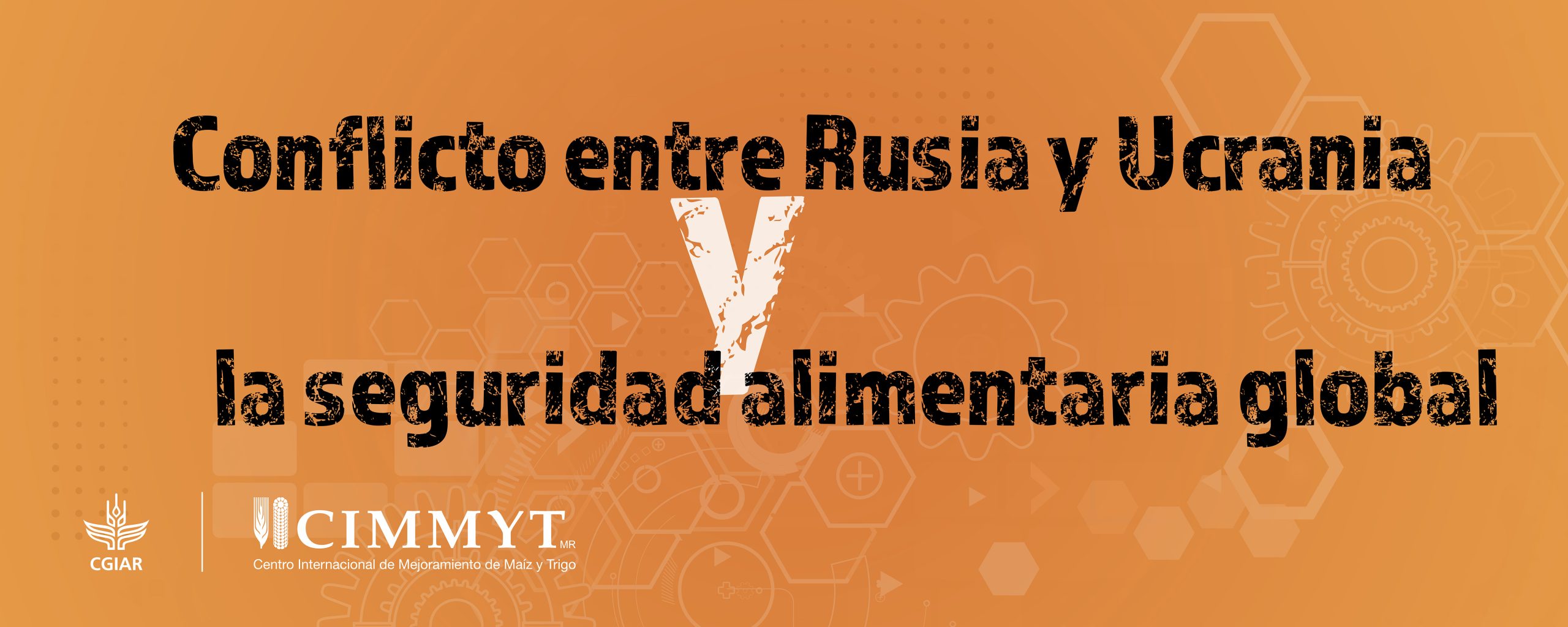 Background image for CIMMYT