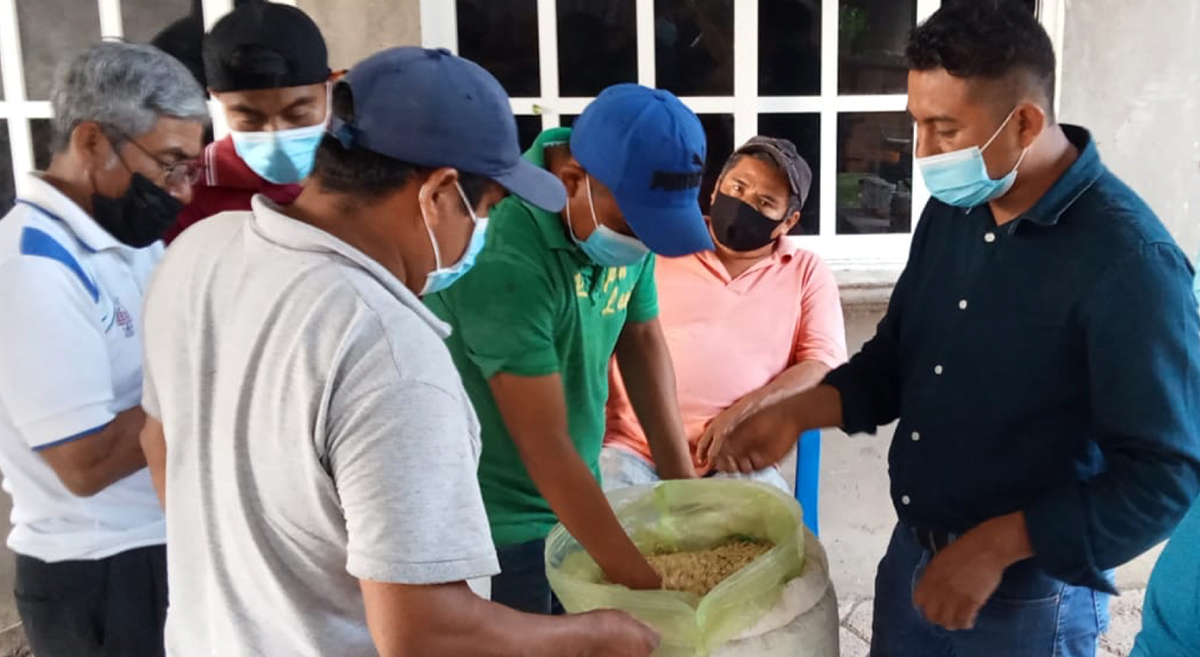 Seguimiento del módulo poscosecha instalado en la casa del productor Efraín Castillo Hernández, en el municipio de Tihuatlán, en Veracruz, México. (Foto: Citricultores Tihuatecos Asociados)