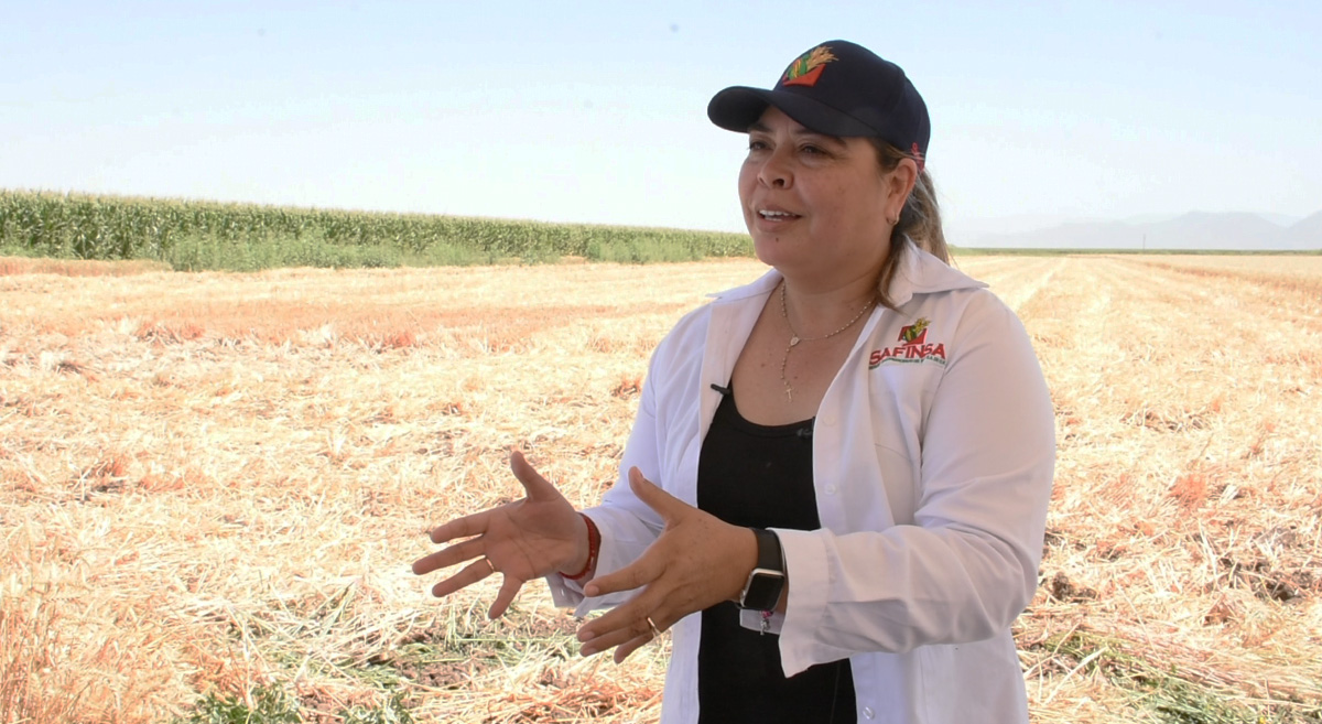 Irene Lerma, directora general de Grupo SAFINSA. (Foto: CIMMYT)