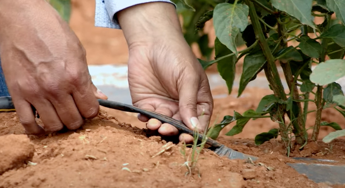 Guía Tipos de Sistemas de Riego Agrícola : Hydro Environment. Inovacion  Agricola en un click