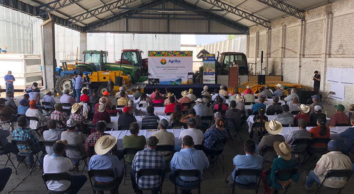 Bienvenida al Taller Intercambio de experiencias entre productores de AGRIBA Sustentable. (Foto: Amador Aguillón/CIMMYT)