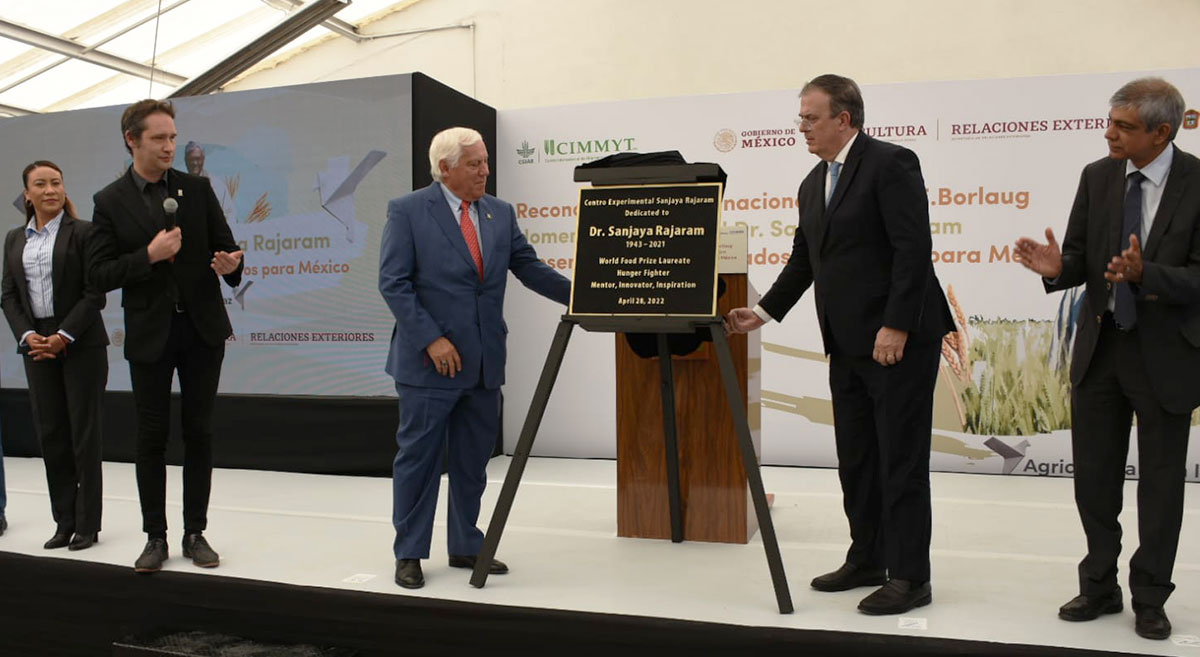 De izquierda a derecha: Bram Govaerts, Víctor Villalobos y Marcelo Ebrard develan placa en honor a Sanjaya Rajaram. (Foto: CIMMYT)