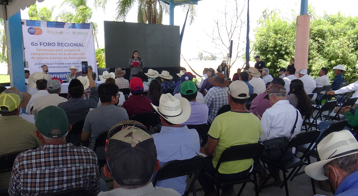 Sexto Foro Regional MasAgro Guanajuato. (Foto: Hub Bajío/CIMMYT)