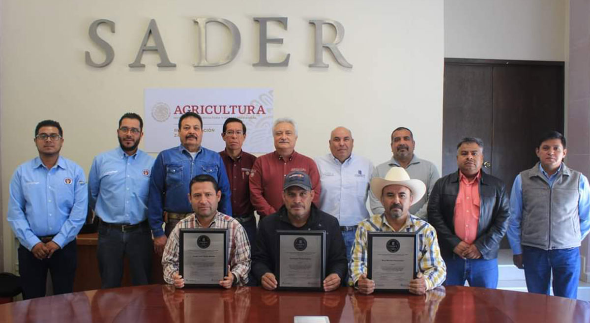 Egresados del curso Técnico Certificado en Agricultura Sustentable en Zacatecas. (Foto: Hub Intermedio/CIMMYT)