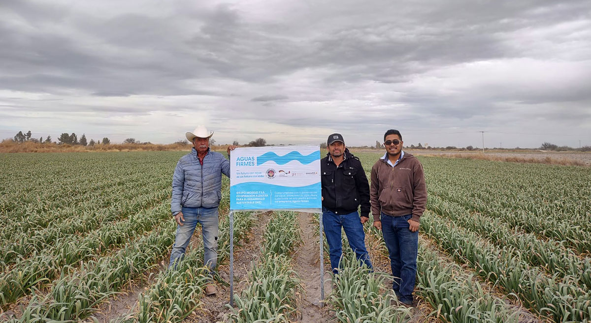 Productores participantes en el proyecto Aguas Firmes, en calera, Zacatecas. (Foto: Hub Intermedio/CIMMYT)
